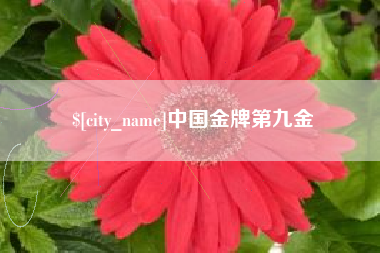淮南中国金牌第九金