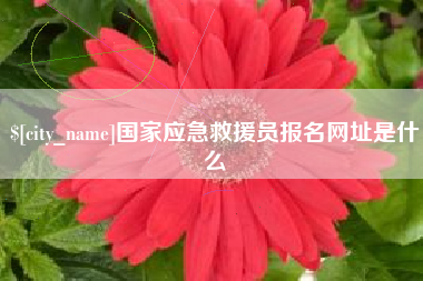 淮南国家应急救援员报名网址是什么
