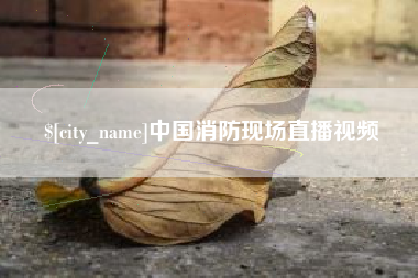 淮南中国消防现场直播视频