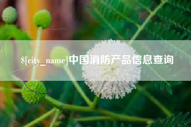 淮南中国消防产品信息查询