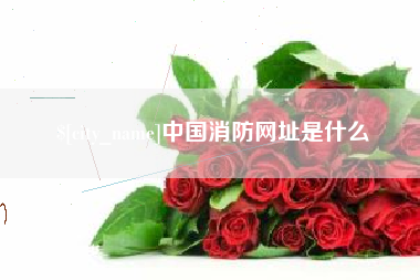 淮南中国消防网址是什么