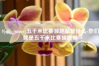 淮南五千米比赛领跑员是什么-他们就是五千米比赛领跑员