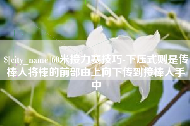 淮南60米接力赛技巧-下压式则是传棒人将棒的前部由上向下传到接棒人手中