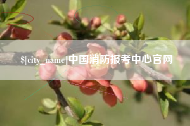 淮南中国消防报考中心官网