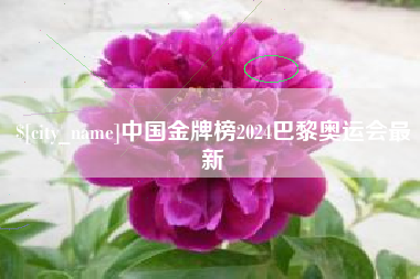 淮南中国金牌榜2024巴黎奥运会最新