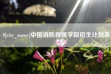淮南中国消防救援学院招生计划表