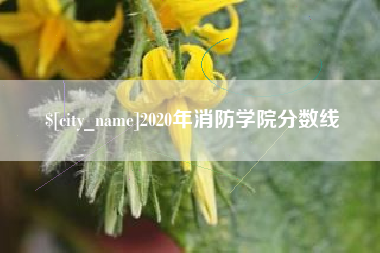 淮南2020年消防学院分数线