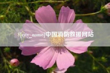 淮南中国消防救援网站