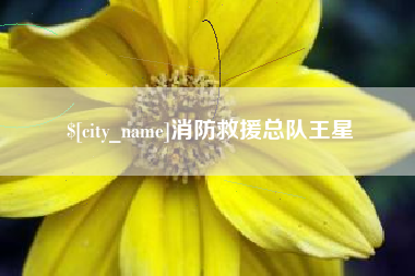 淮南消防救援总队王星