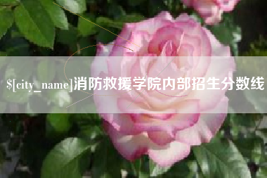 淮南消防救援学院内部招生分数线