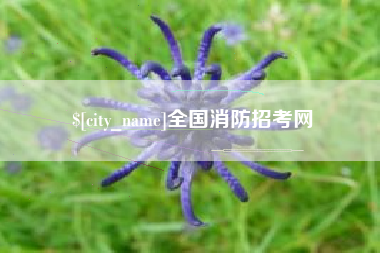 淮南全国消防招考网