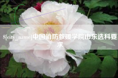 淮南中国消防救援学院山东选科要求