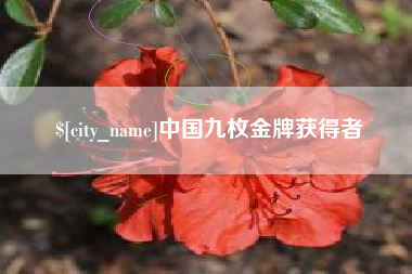 淮南中国九枚金牌获得者