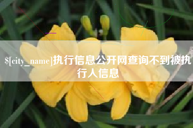 淮南执行信息公开网查询不到被执行人信息