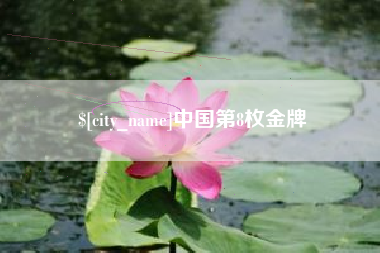 淮南中国第8枚金牌
