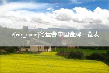 淮南冬运会中国金牌一览表