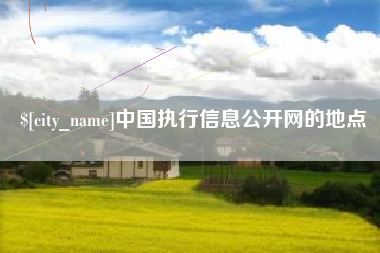 淮南中国执行信息公开网的地点
