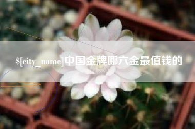 淮南中国金牌哪六金最值钱的
