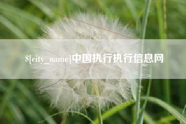 淮南中国执行执行信息网