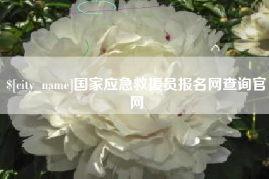 淮南国家应急救援员报名网查询官网