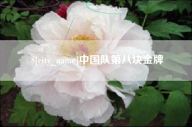淮南中国队第八块金牌