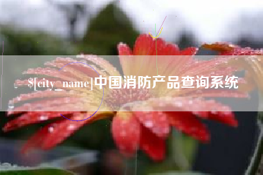 淮南中国消防产品查询系统