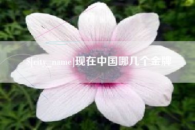 淮南现在中国哪几个金牌
