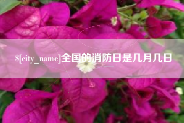 淮南全国的消防日是几月几日
