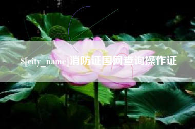 淮南消防证国网查询操作证
