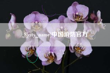 淮南中国消防官方