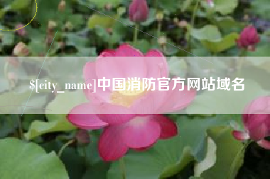 淮南中国消防官方网站域名