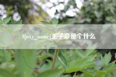 淮南王子豪是个什么