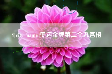 淮南奥运金牌第二个九宫格