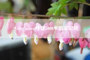 淮南中国5000米国家记录