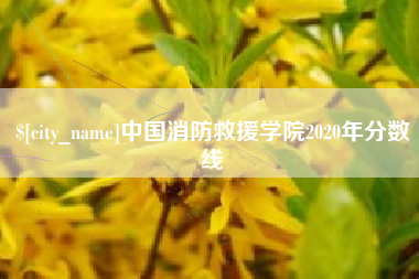 淮南中国消防救援学院2020年分数线