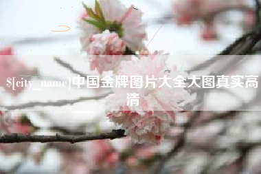 淮南中国金牌图片大全大图真实高清