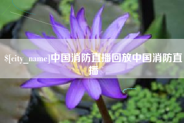 淮南中国消防直播回放中国消防直播