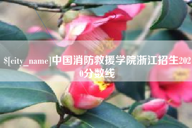 淮南中国消防救援学院浙江招生2020分数线