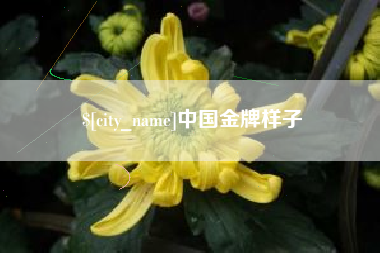 淮南中国金牌样子