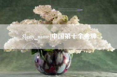 淮南中国第十个金牌