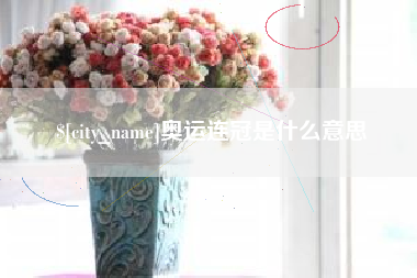 淮南奥运连冠是什么意思