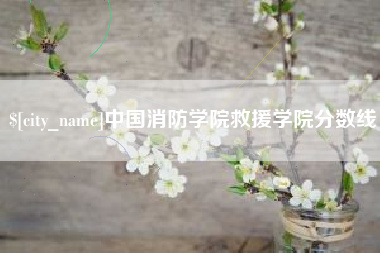 淮南中国消防学院救援学院分数线