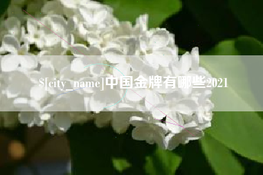 淮南中国金牌有哪些2021