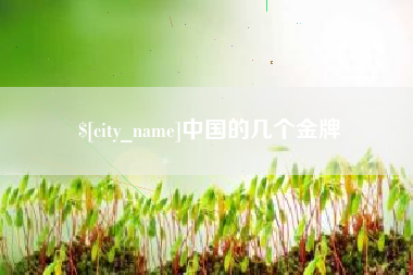 淮南中国的几个金牌