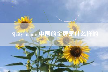 淮南中国的金牌是什么样的