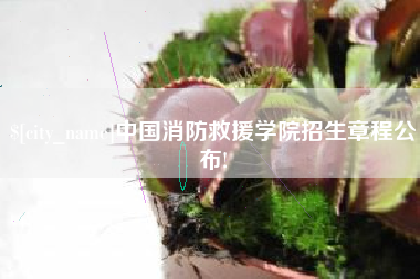 淮南中国消防救援学院招生章程公布!