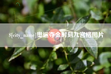 淮南奥运夺金时刻九宫格图片
