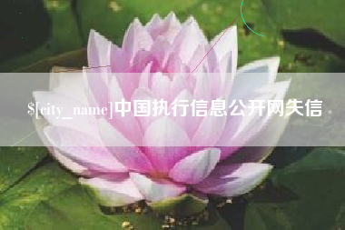 淮南中国执行信息公开网失信