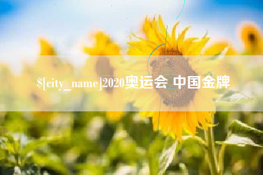 淮南2020奥运会 中国金牌