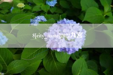 淮南2022九宫